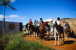 Conexão Equestre