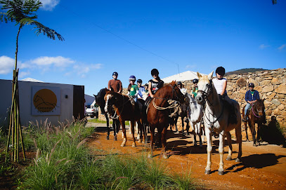 Conexão Equestre