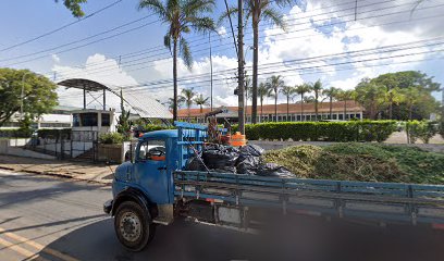 Educação Infantil