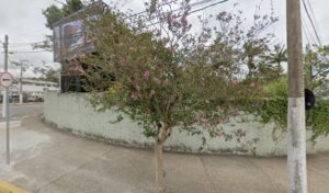 Escola Estadual Professor Paulo Silva