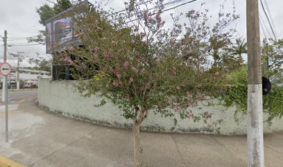 Escola Estadual Professor Paulo Silva