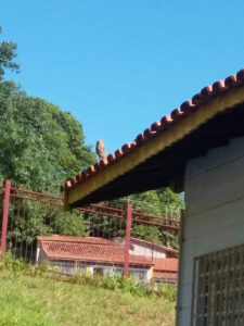 Escola Municipal Luiz Gonzaga Fernandes