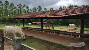 Fazenda Duquesa