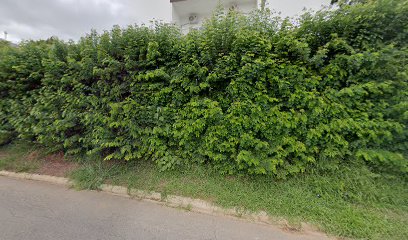 Gimportex