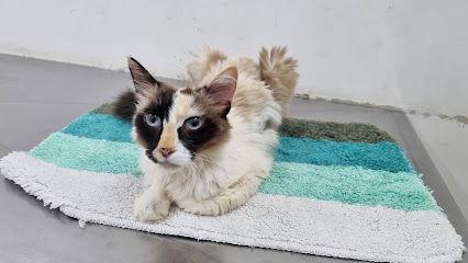 Hospital Veterinário da FESB