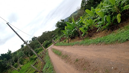 Sítio vôvô gentil